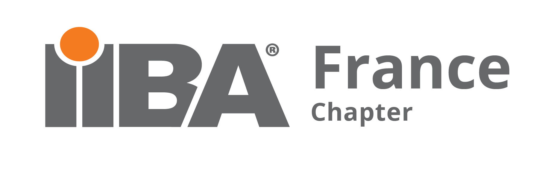 Logo IIBA Chapter France