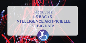 Bac +5 IA et Big Data
